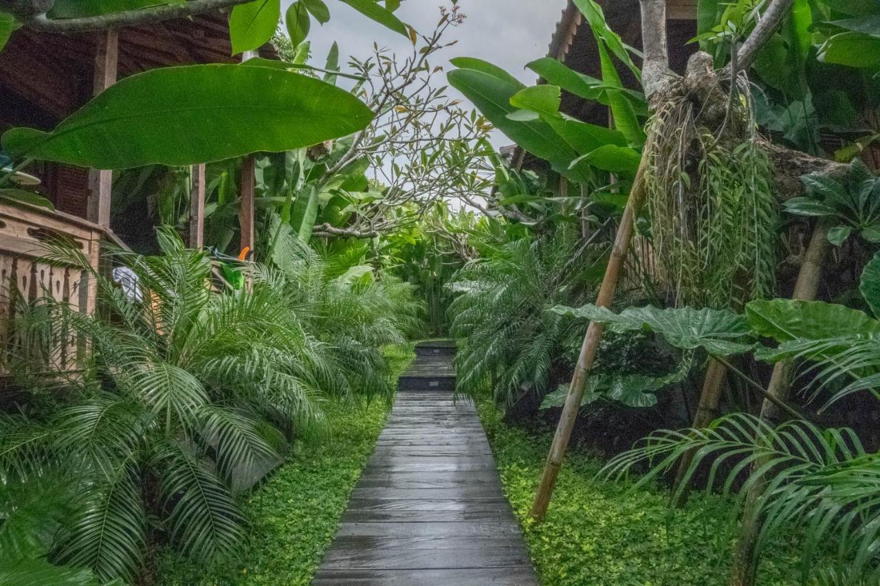 Bajalo Cottage Canggu מראה חיצוני תמונה