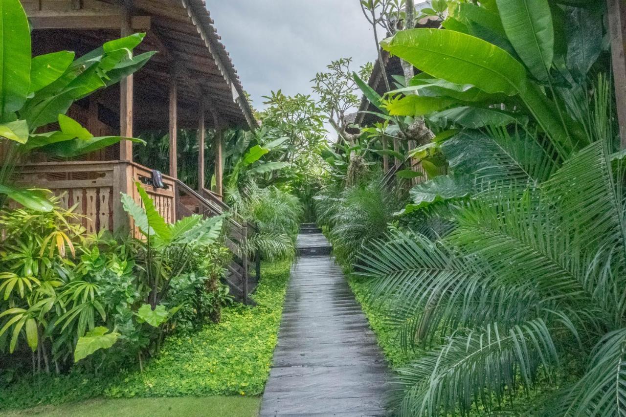 Bajalo Cottage Canggu מראה חיצוני תמונה