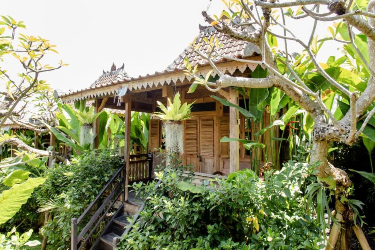 Bajalo Cottage Canggu מראה חיצוני תמונה